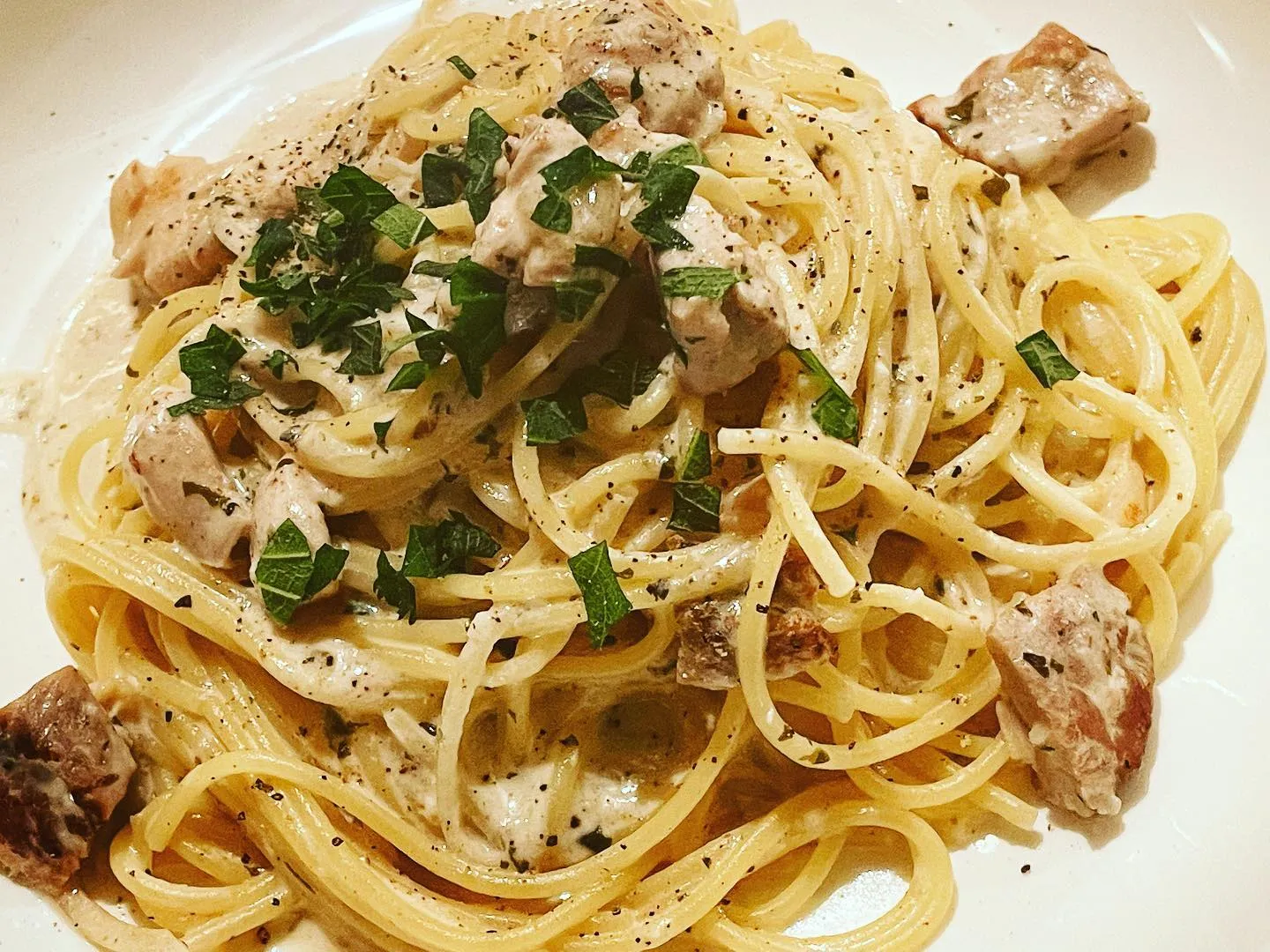 今週のパスタランチメニュー紹介