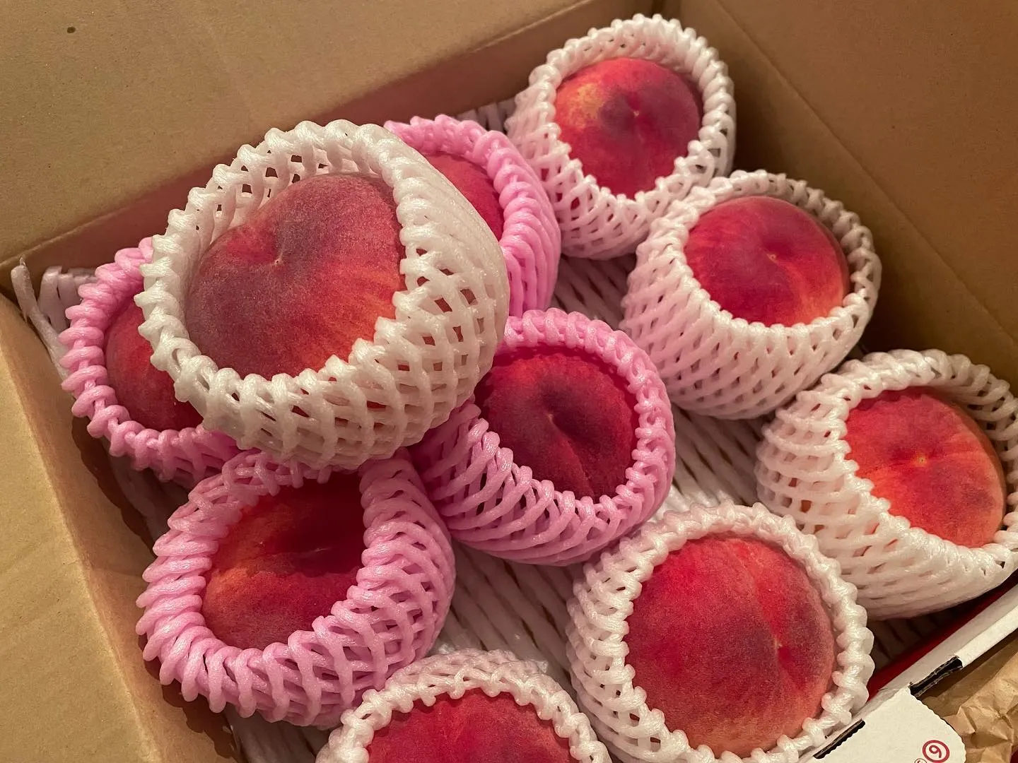 暑い日は冷製スープいかがですか？